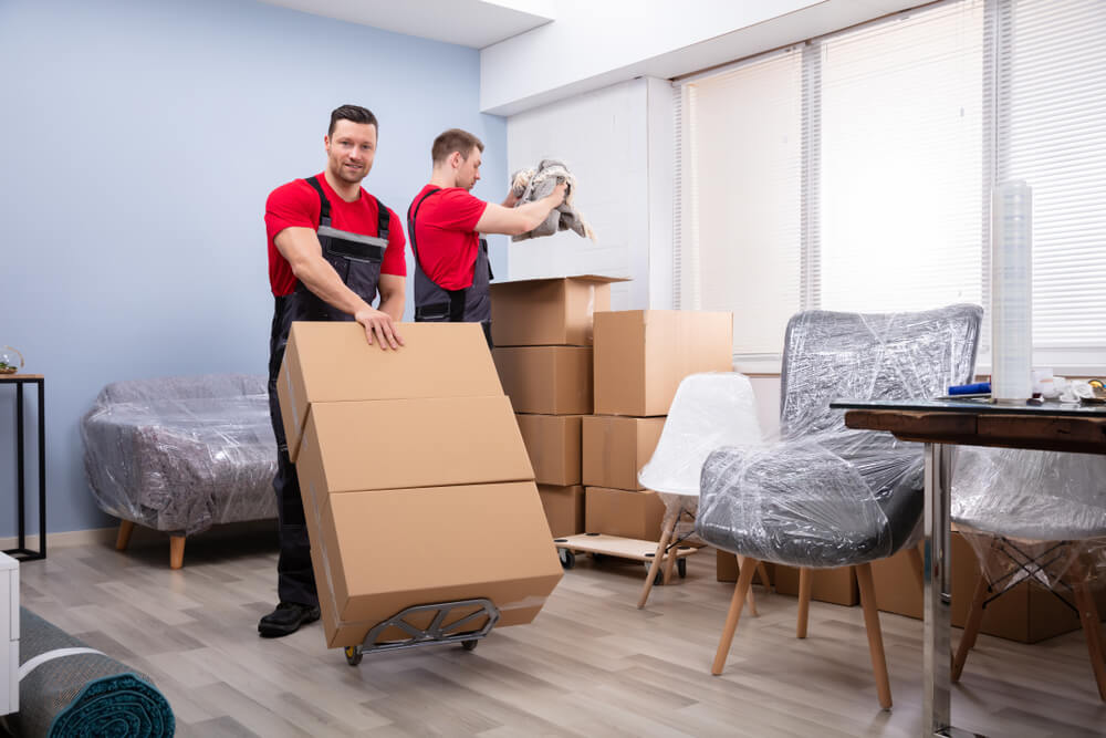 Licensed Office Movers Near Me